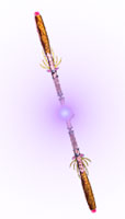 玄武棍 135 朱雀棍 140