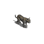 猫 3