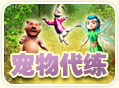 名词解释与常见问题 · 宠物代练